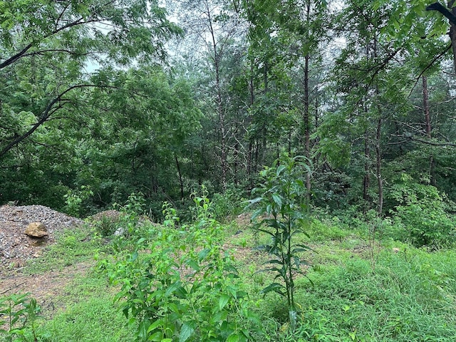 4 Saw Mill Rd, Palmer, TN 37365 - photo 6