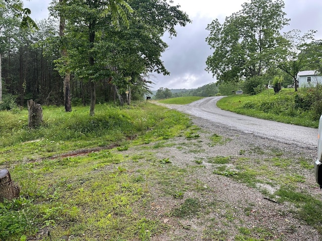 4 Saw Mill Rd, Palmer, TN 37365 - photo 1