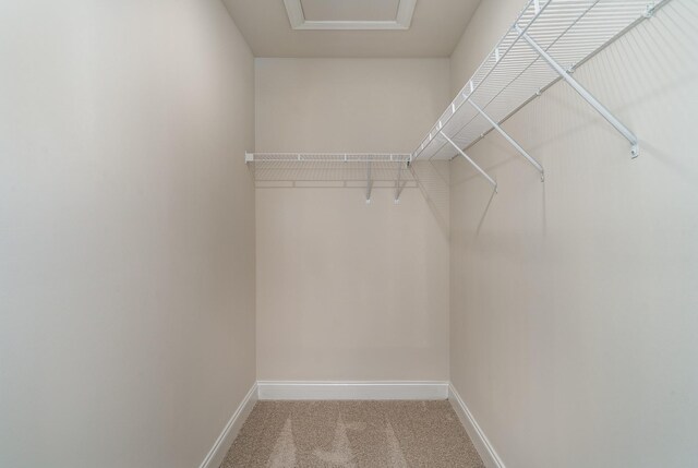 1073 Wrights Mill Rd Unit H-7, Spring Hill, TN 37174 - spacious closet with carpet floors