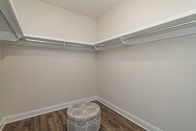 1073 Wrights Mill Rd Unit H-7, Spring Hill, TN 37174 - walk in closet featuring dark wood-style flooring