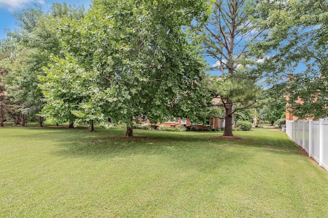 2910 Chaucer Dr, Murfreesboro, TN 37129 - view of yard