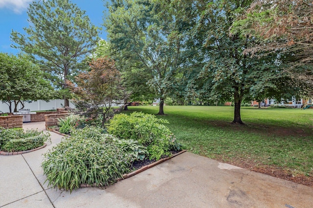 2910 Chaucer Dr, Murfreesboro, TN 37129 - view of green lawn