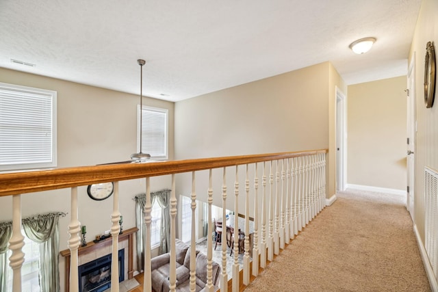 3645 Rocky Top Ct, Clarksville, TN 37040 - photo 34