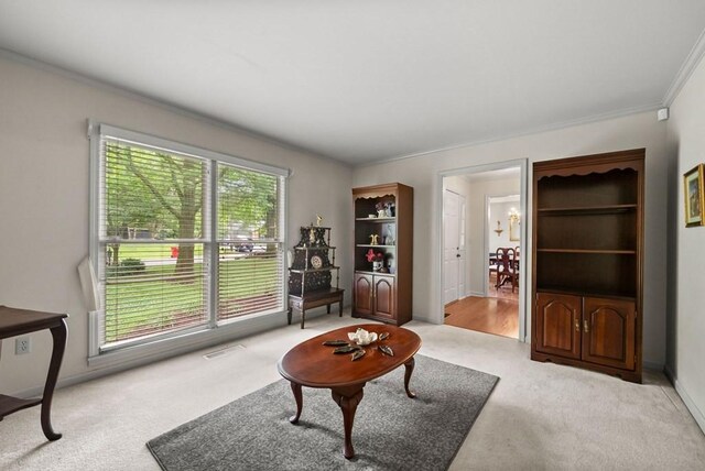 227 Crossbow Ct, Hopkinsville, KY 42240 - photo 8