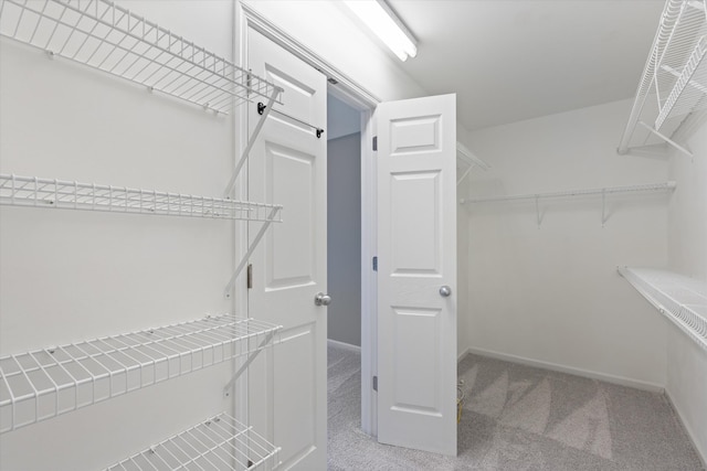 717 Pleasant View Dr, Columbia, TN 38401 - walk in closet with light carpet