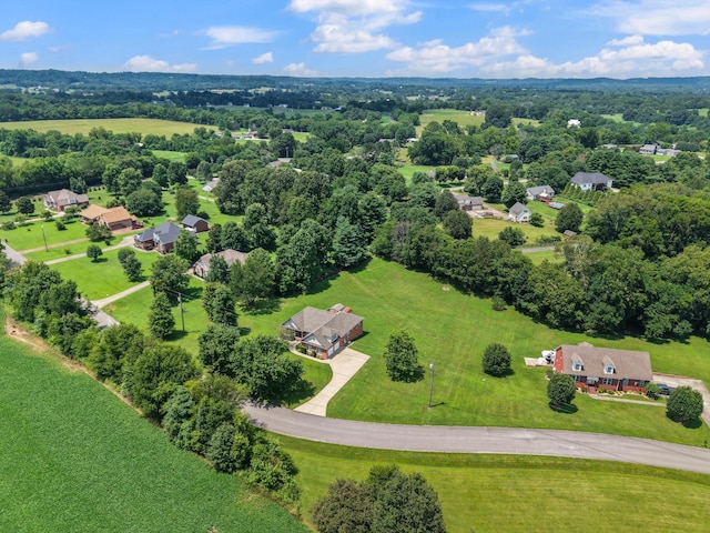 717 Pleasant View Dr, Columbia, TN 38401 - aerial view