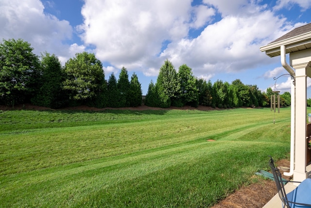 1727 Humphreys Gln, Spring Hill, TN 37174 - view of grassy yard