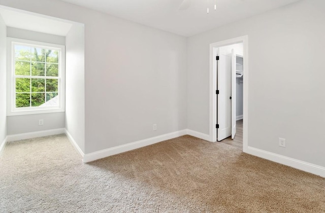 711 Johnson St, Clarksville, TN 37043 - photo 41