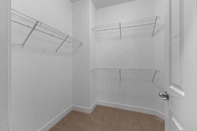 526 Sydenham Dr, Franklin, TN 37064 - walk in closet with carpet floors