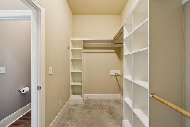 4019 Fremantle Cir, Spring Hill, TN 37174 - spacious closet with carpet floors
