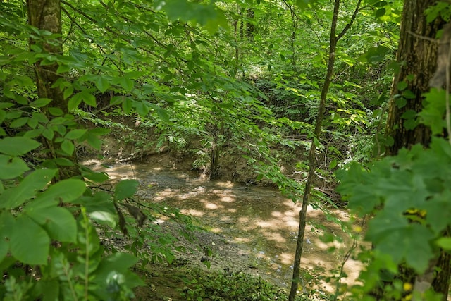 4019 Fremantle Cir, Spring Hill, TN 37174 - view of nature