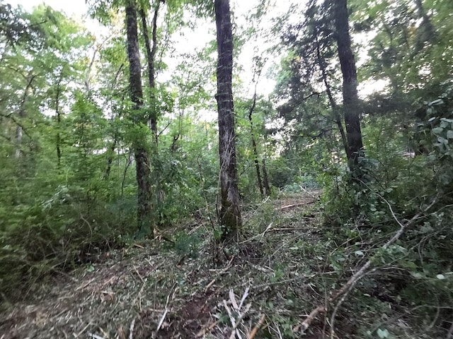 0 Simpson Ln, Columbia, TN 38401