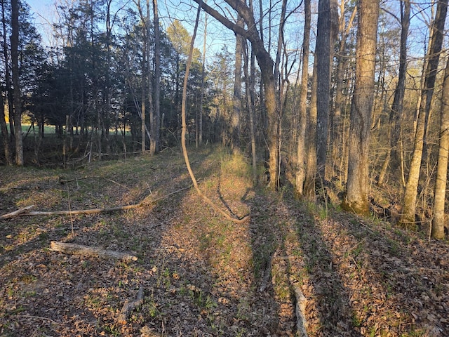 0 Simpson Ln, Columbia, TN 38401