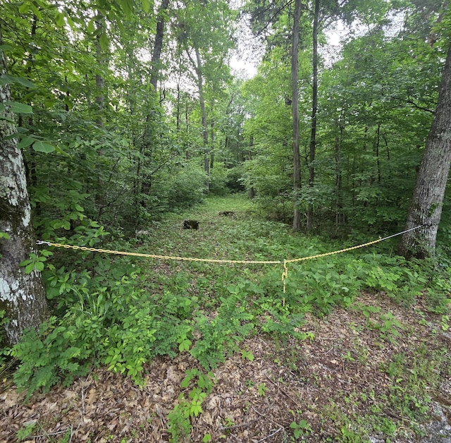 0 Simpson Ln, Columbia, TN 38401