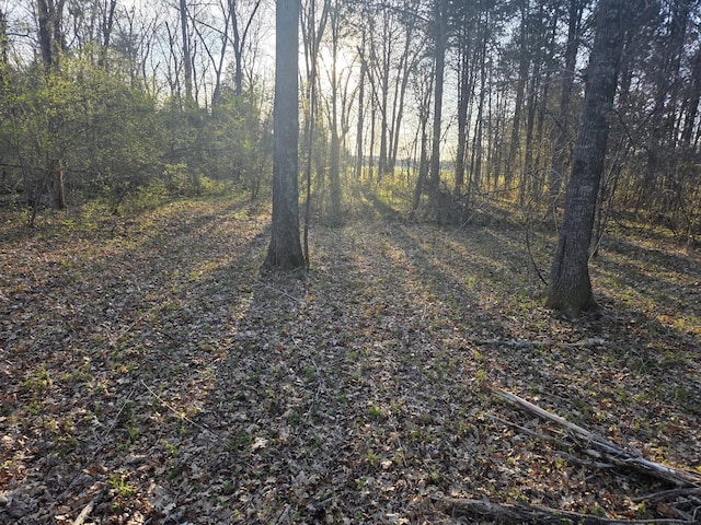 0 Simpson Ln, Columbia, TN 38401