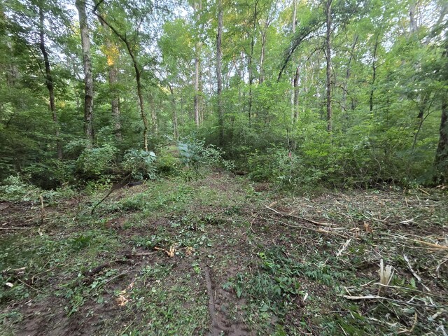 0 Simpson Ln, Columbia, TN 38401