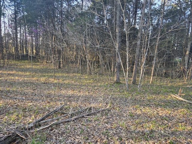 0 Simpson Ln, Columbia, TN 38401