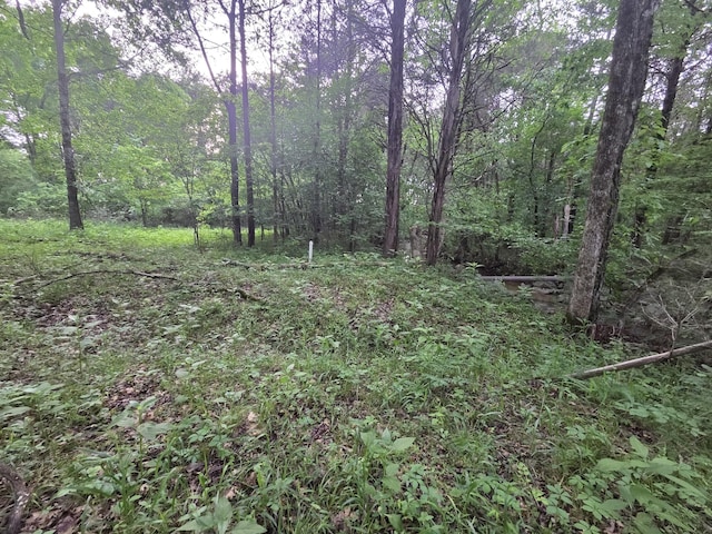0 Simpson Ln, Columbia, TN 38401
