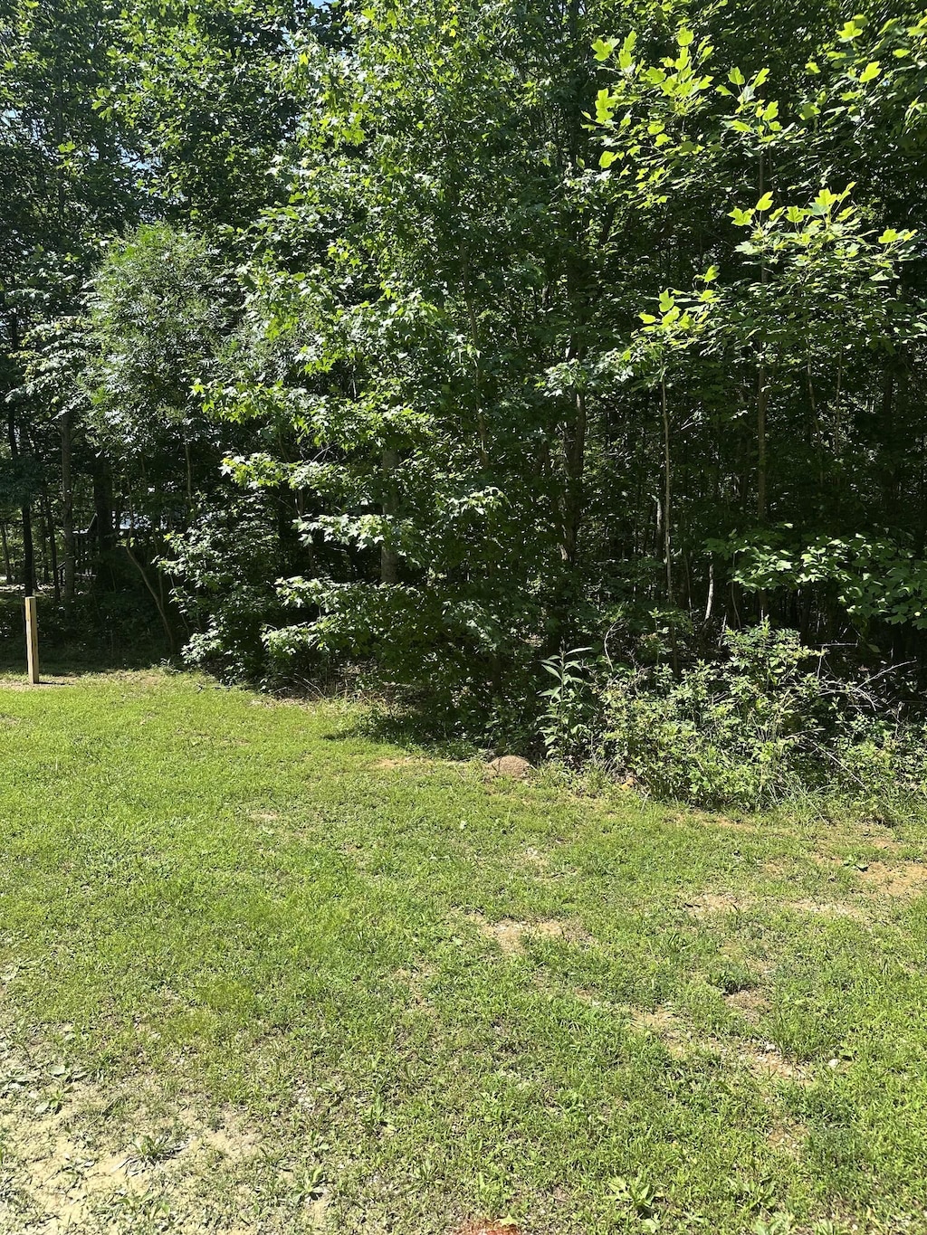 154 Sunset Bluff Way, Monteagle, TN 37356 - photo 2