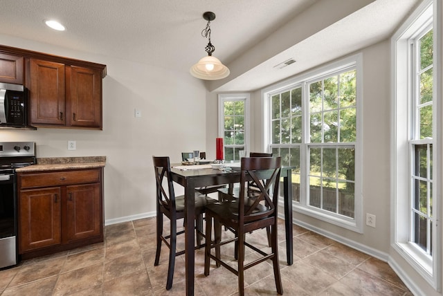 4328 Monticello Trce, Adams, TN 37010 - dining area featuring plenty of natural light and a textured ceiling