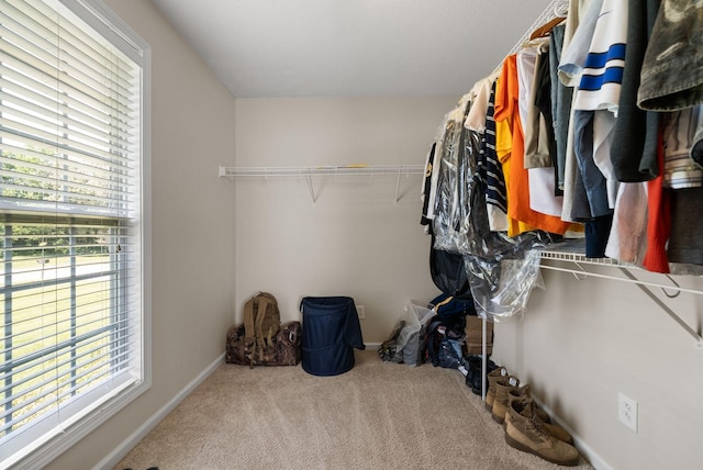 4328 Monticello Trce, Adams, TN 37010 - spacious closet featuring carpet flooring