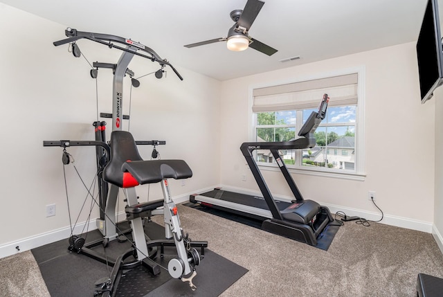 3515 Shellmans Dr, Murfreesboro, TN 37129 - workout room with baseboards and ceiling fan