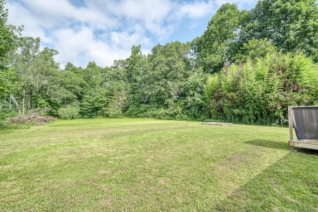 163 Deep Water Rd, Crossville, TN 38571 - photo 9