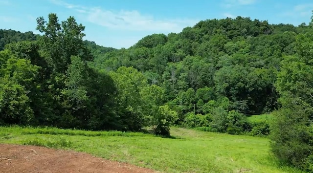 0 Robinson Rd, Frankewing, TN 38459 - photo 3