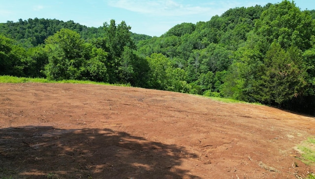 0 Robinson Rd, Frankewing, TN 38459 - photo 2