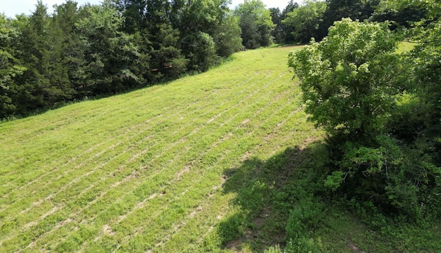 0 Robinson Rd, Frankewing, TN 38459 - photo 4