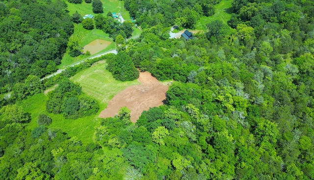 0 Robinson Rd, Frankewing, TN 38459 - photo 9
