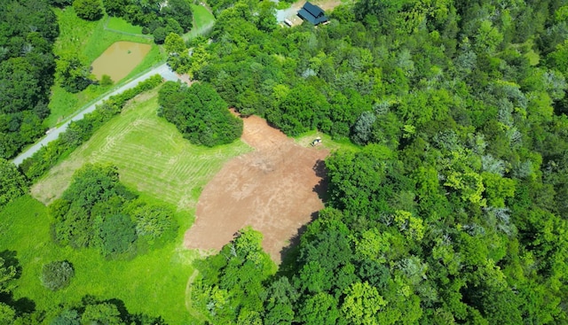 0 Robinson Rd, Frankewing, TN 38459 - photo 7