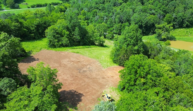 0 Robinson Rd, Frankewing, TN 38459 - photo 6