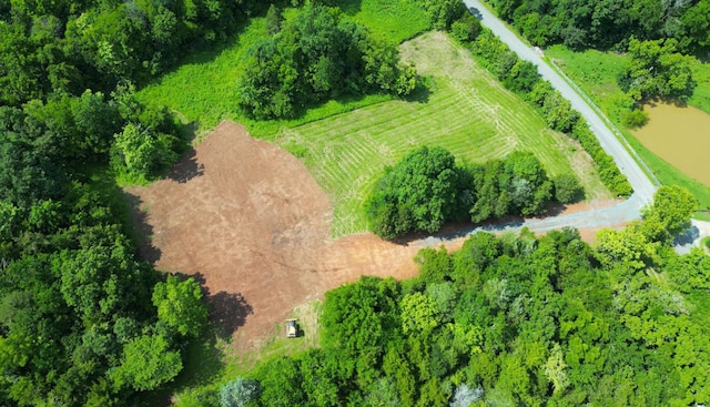 0 Robinson Rd, Frankewing, TN 38459 - photo 8