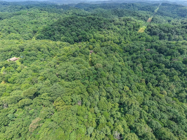 569 Hogans Branch Rd, Hendersonville, TN 37075 - drone / aerial view of a forest