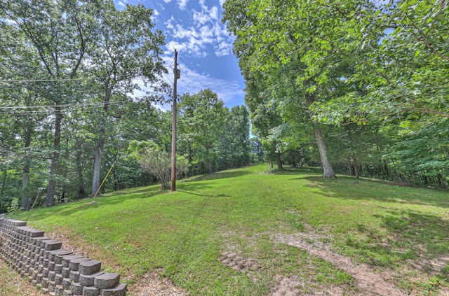 569 Hogans Branch Rd, Hendersonville, TN 37075 - view of grassy yard