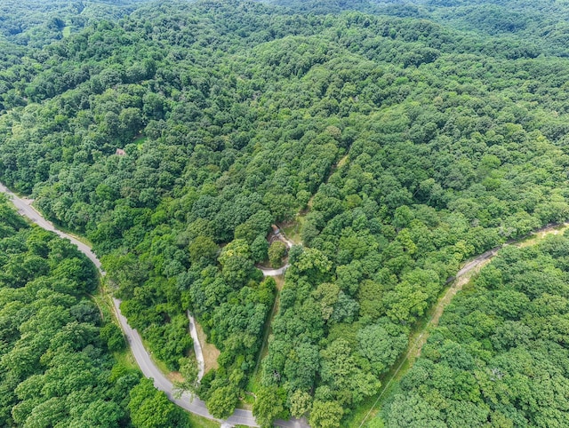 569 Hogans Branch Rd, Hendersonville, TN 37075 - aerial overview of property's location with a heavily wooded area
