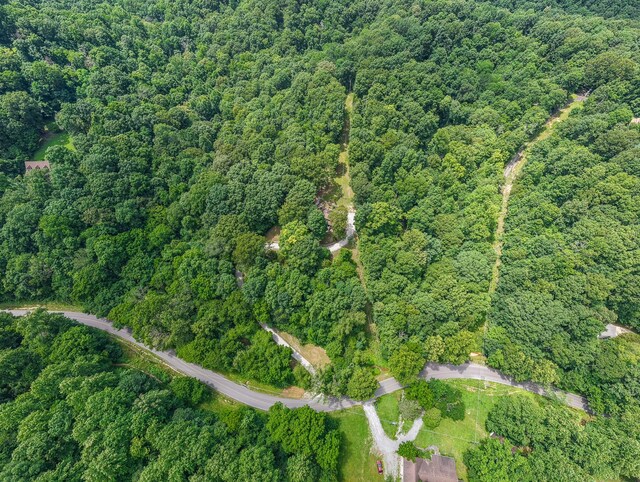 569 Hogans Branch Rd, Hendersonville, TN 37075 - view of property location featuring a forest