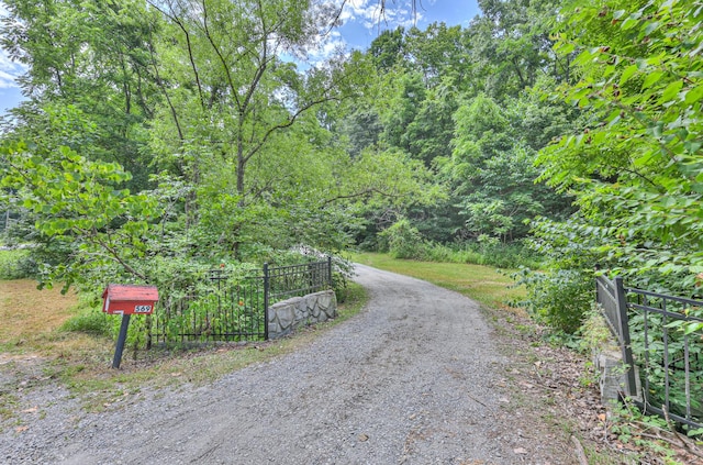 569 Hogans Branch Rd, Hendersonville, TN 37075 - view of street