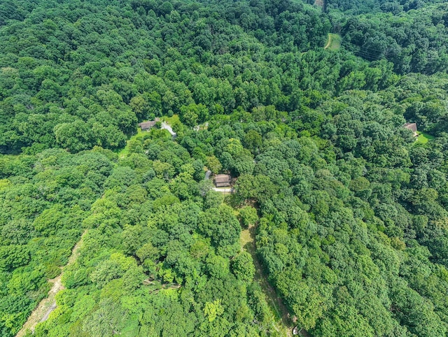 569 Hogans Branch Rd, Hendersonville, TN 37075 - aerial view of property and surrounding area featuring a forest