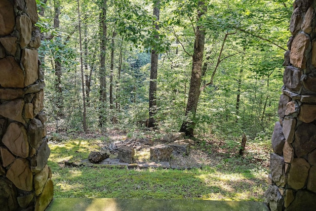 1235 Lakeview Dr, Smithville, TN 37166 - photo 35