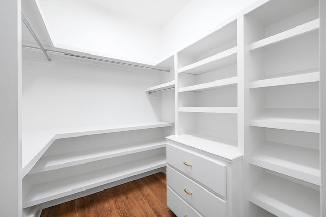 1313 Jewell Ave, Franklin, TN 37064 - walk in closet featuring dark wood-style floors