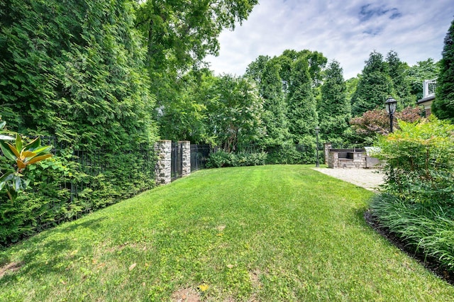 1313 Jewell Ave, Franklin, TN 37064 - view of yard with a patio