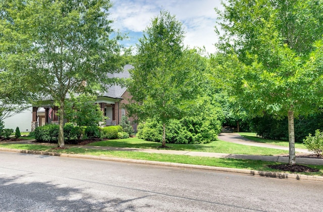 1313 Jewell Ave, Franklin, TN 37064 - view of property hidden behind natural elements with a front yard