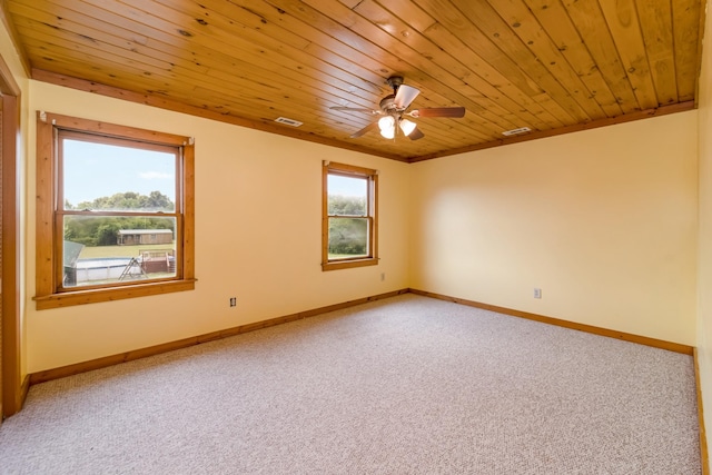 7421 Joe Rowlin Rd, Christiana, TN 37037 - photo 42