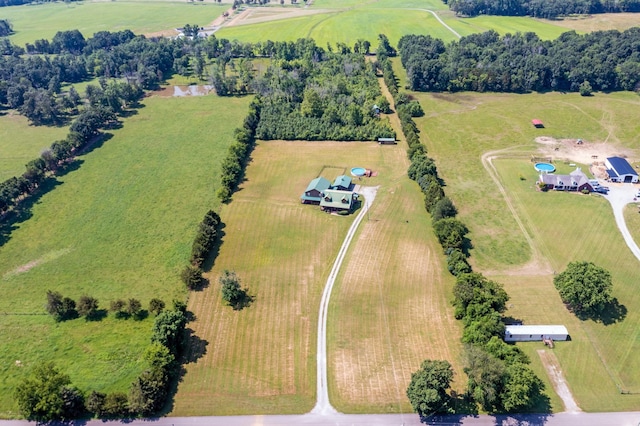 7421 Joe Rowlin Rd, Christiana, TN 37037 - photo 47