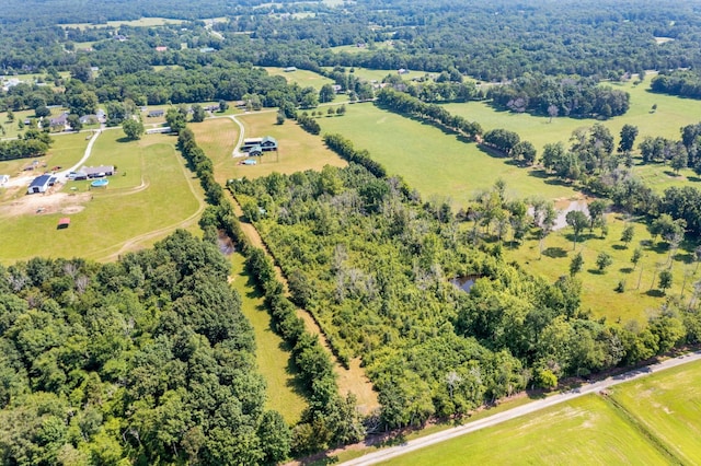 7421 Joe Rowlin Rd, Christiana, TN 37037 - photo 50