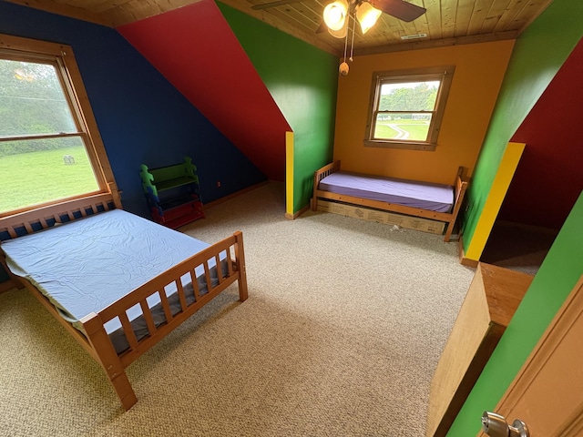 7421 Joe Rowlin Rd, Christiana, TN 37037 - photo 44
