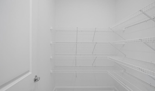 2901 Windstone Trl, Columbia, TN 38401 - view of pantry
