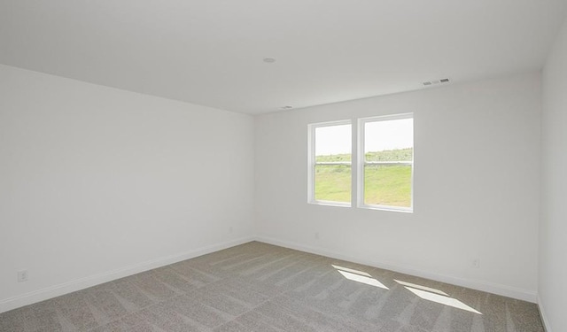 2901 Windstone Trl, Columbia, TN 38401 - unfurnished room with light colored carpet
